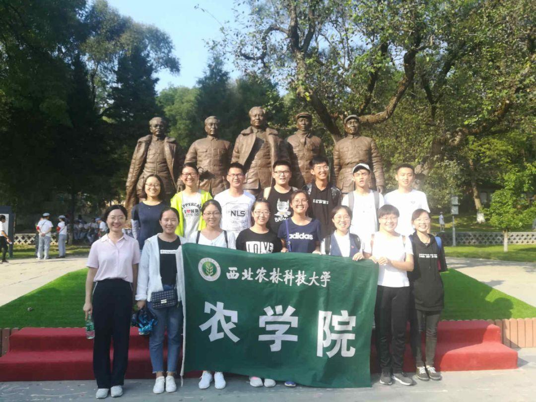 日本人早餐都吃些什么?为什么早上在日本的街上没有早餐摊呢?